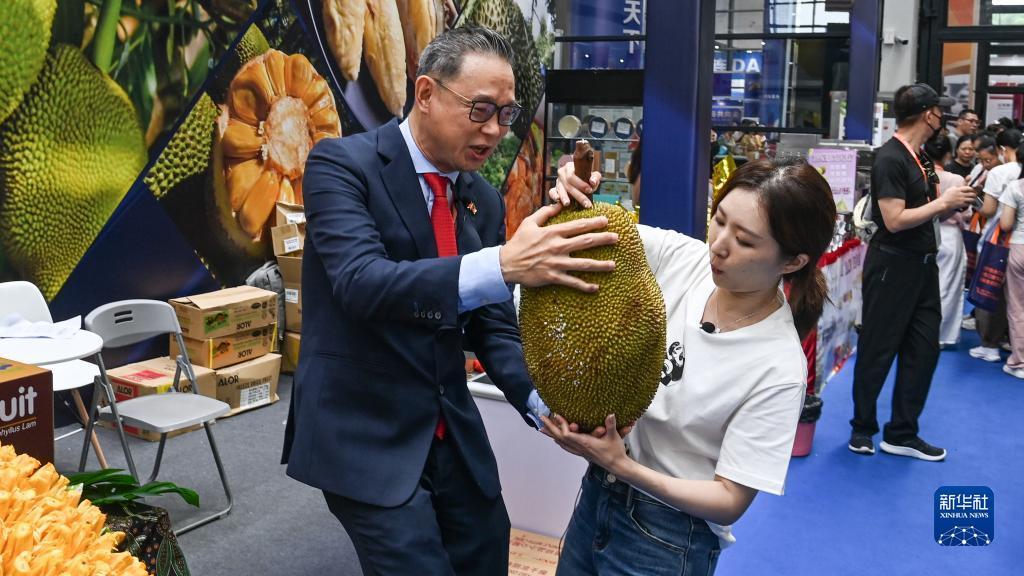 六台至尊免费下载